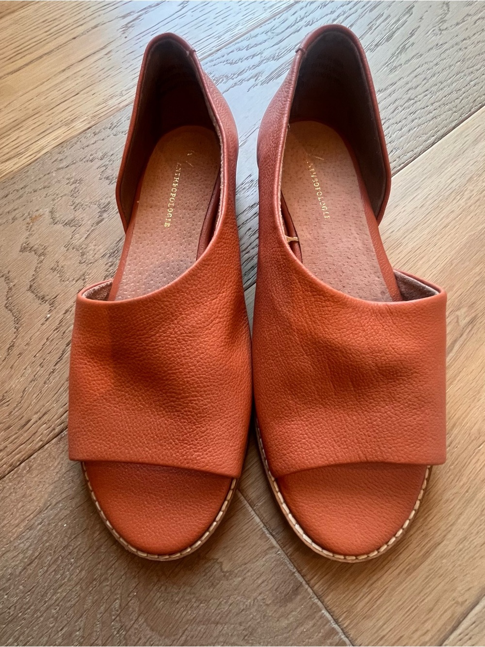 Anthropologie Open-Toe Leather Sandals in Rust Orange